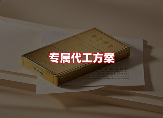 专业团队